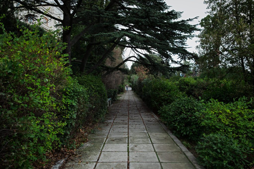 Park green alley sidewalk. An unrecognizable person from the back is walking along the road. Cloudy spring landscape. A walk through the city park. The concept of loneliness of old age and tranquility